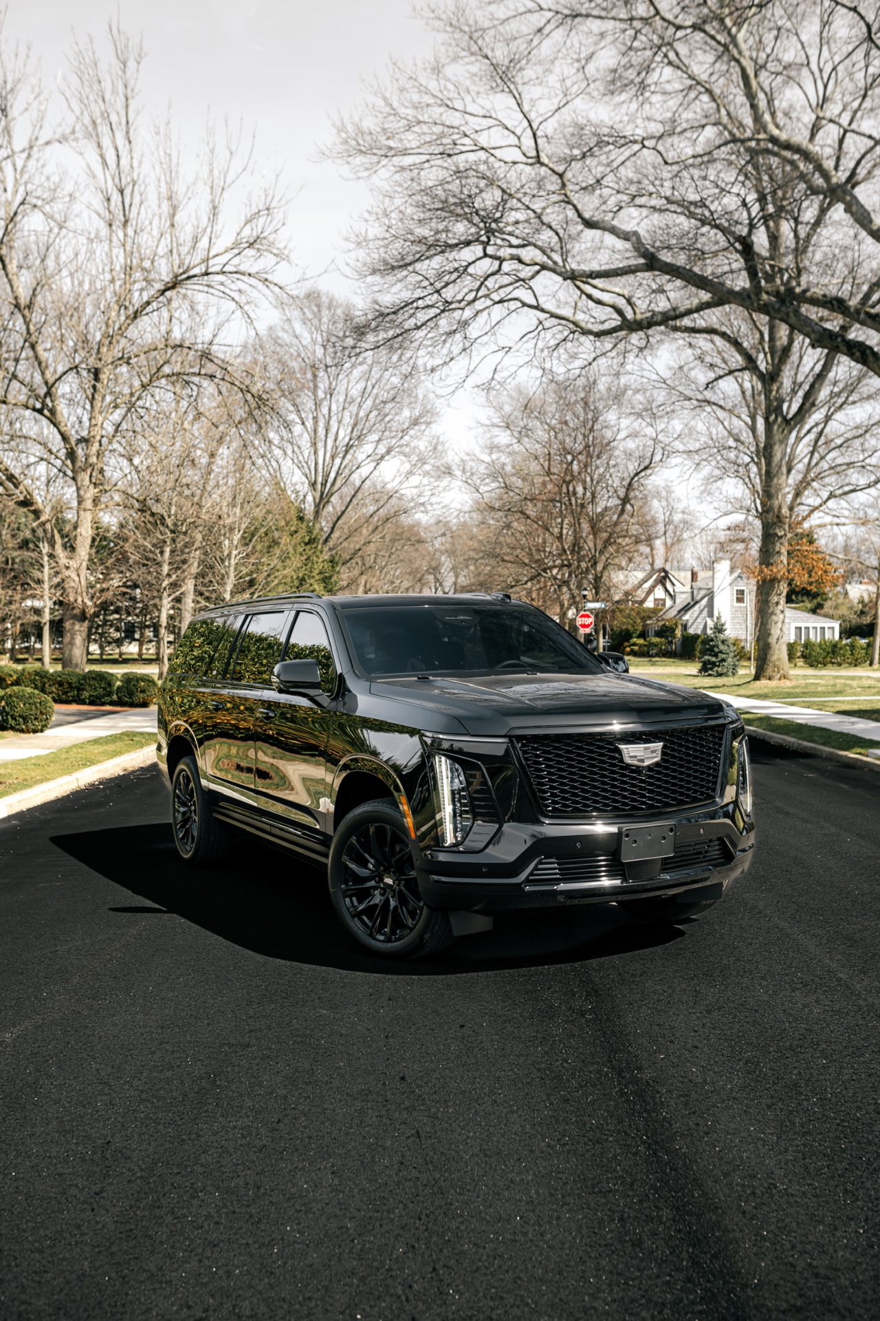 2026 Cadillac Escalade in Black – photo 1
